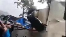 国产恋足视频,国产恋足视频中的独特魅力探索